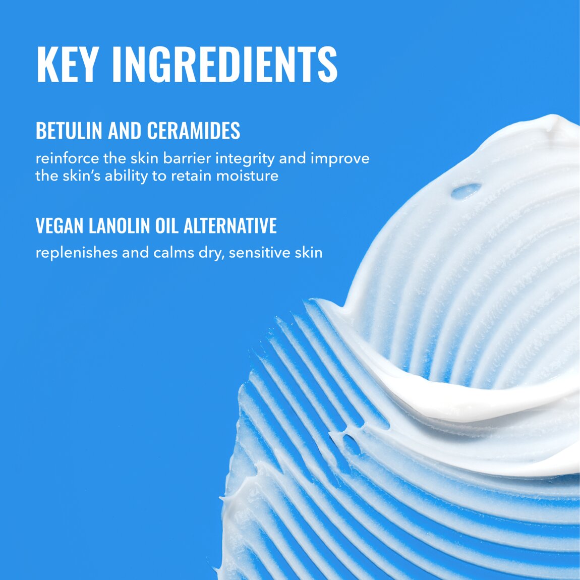 rich-cream-with-ceramides-v9 zb_p.jpg